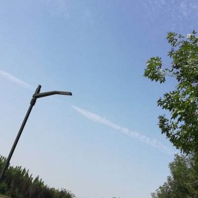 捉妖手机gm公益服下载